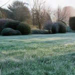 Entretien du gazon en hiver : gestes essentiels pour un gazon sain au printemps