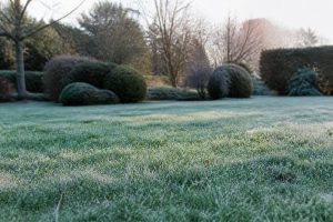Entretien du gazon en hiver : gestes essentiels pour un gazon sain au printemps