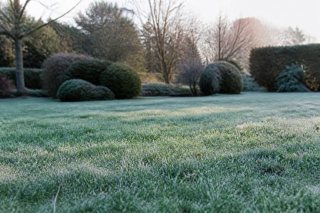 Entretien du gazon en hiver : gestes essentiels pour un gazon sain au printemps